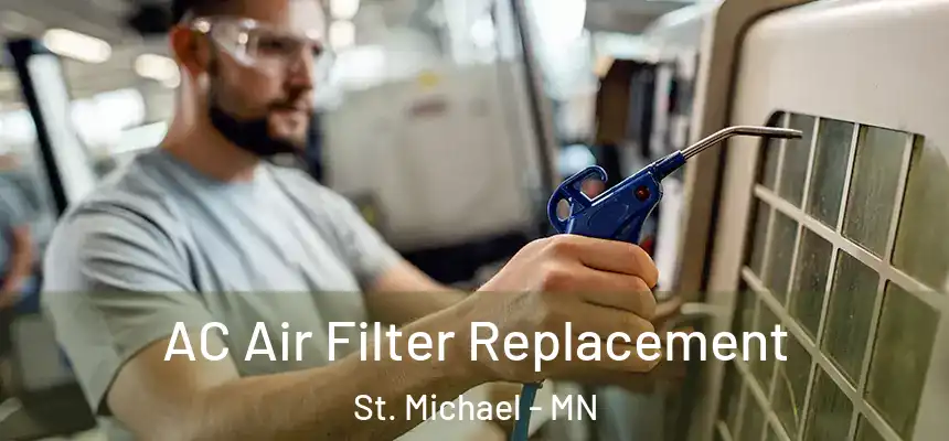 AC Air Filter Replacement St. Michael - MN