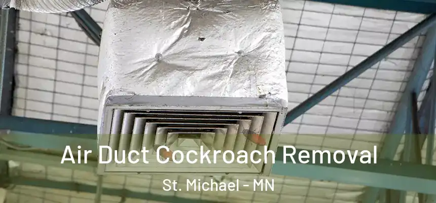  Air Duct Cockroach Removal St. Michael - MN