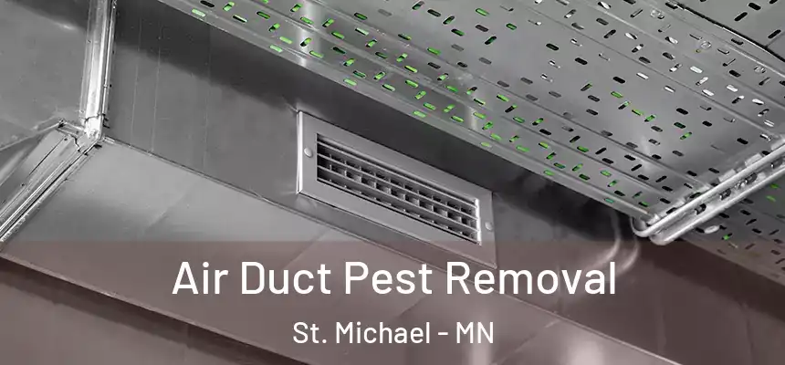 Air Duct Pest Removal St. Michael - MN