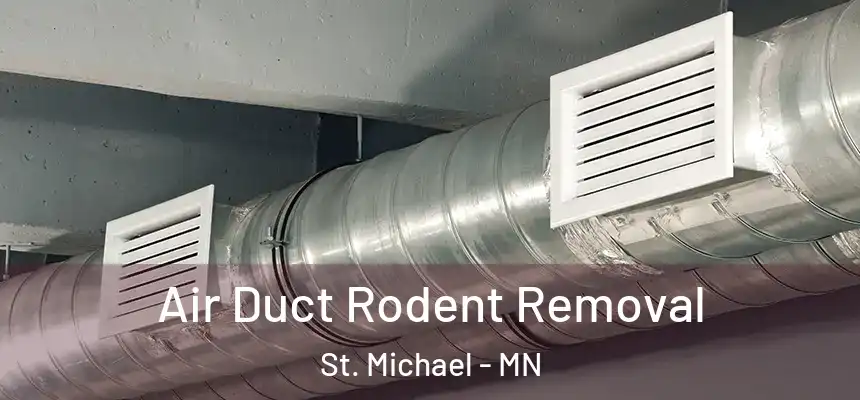 Air Duct Rodent Removal St. Michael - MN