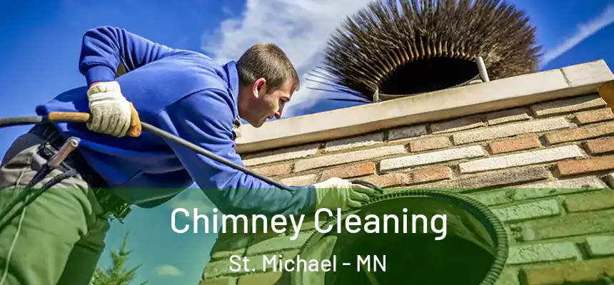  Chimney Cleaning St. Michael - MN