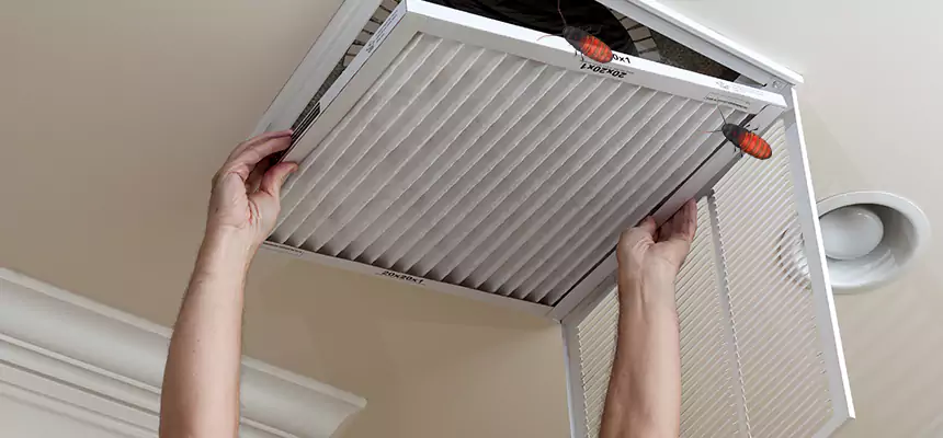 Preventive Cockroach-Proofing for Ducts in St. Michael