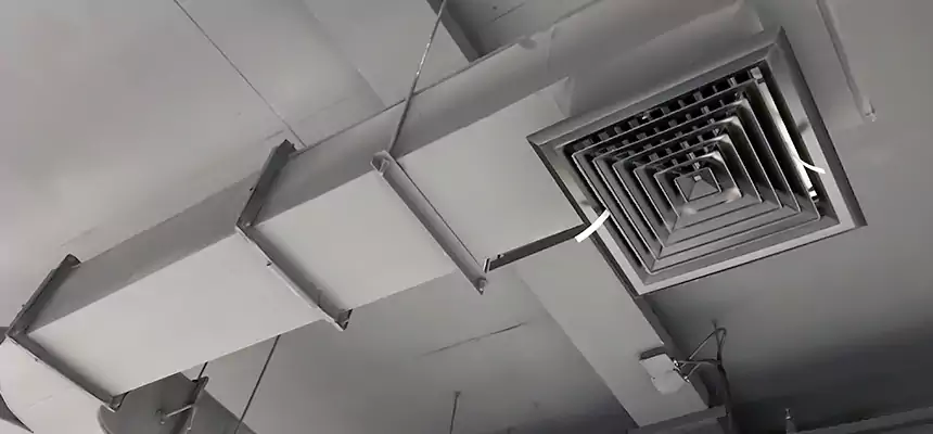 Restorative Allergy Relief Vent Cleaning – Coil, Blower & Housing Detail in St. Michael