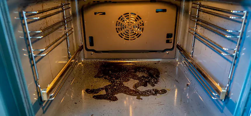 Our Dryer Vent Mold Cleaning Services in St. Michael, MN