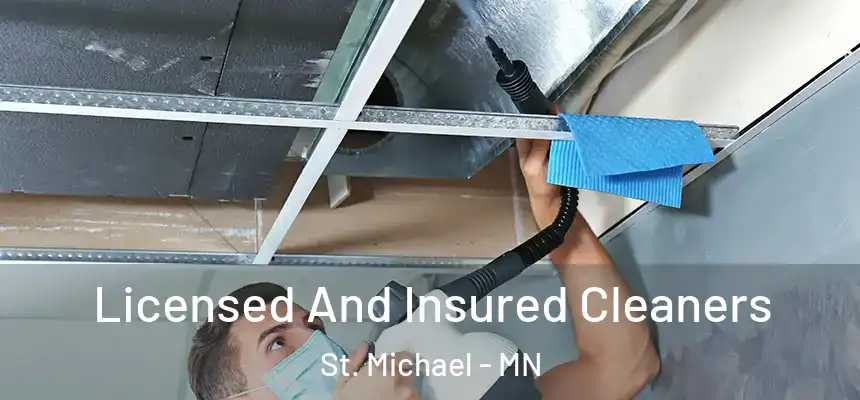  Licensed And Insured Cleaners St. Michael - MN