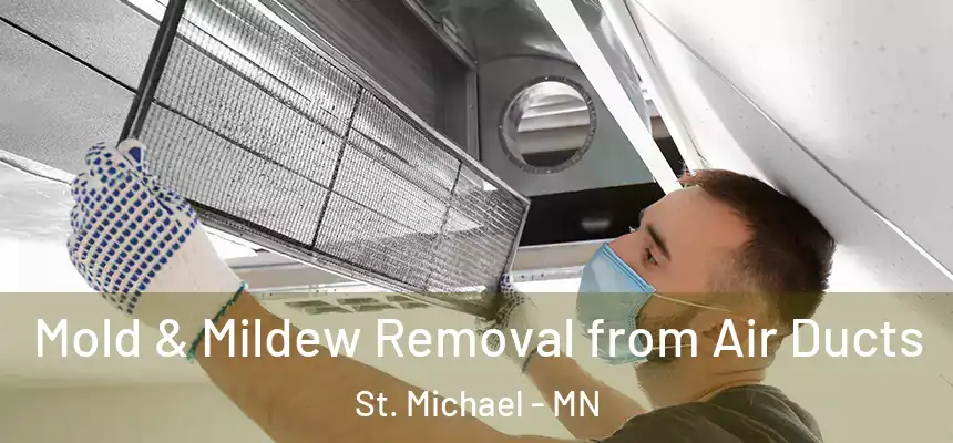Mold & Mildew Removal from Air Ducts St. Michael - MN
