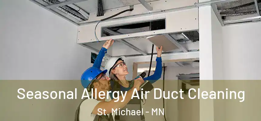 Seasonal Allergy Air Duct Cleaning St. Michael - MN