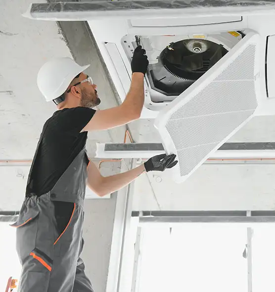 About Air Duct Rodent Removal in St. Michael, MN