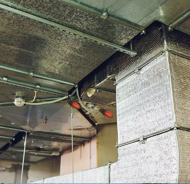 Why Homeowners & Businesses Trust Us in St. Michael, MN?